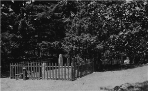 Small fenced plot with a few gravestones, at edge of woods