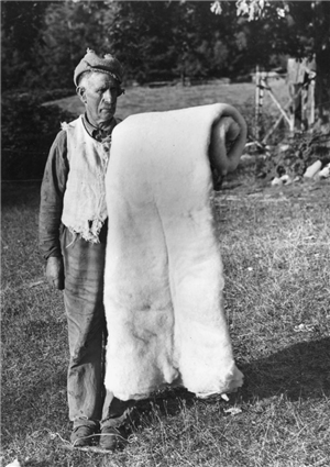 Older man with mustache, wearing hat and torn vest, holding large roll of wool