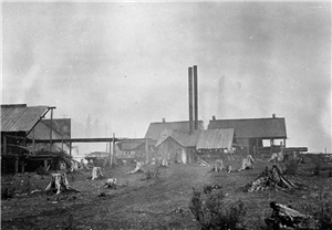 Sawmill buildings with stumps in foreground