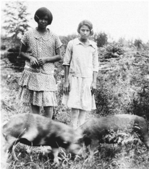 Two young Native American women stand with two pigs in front of them