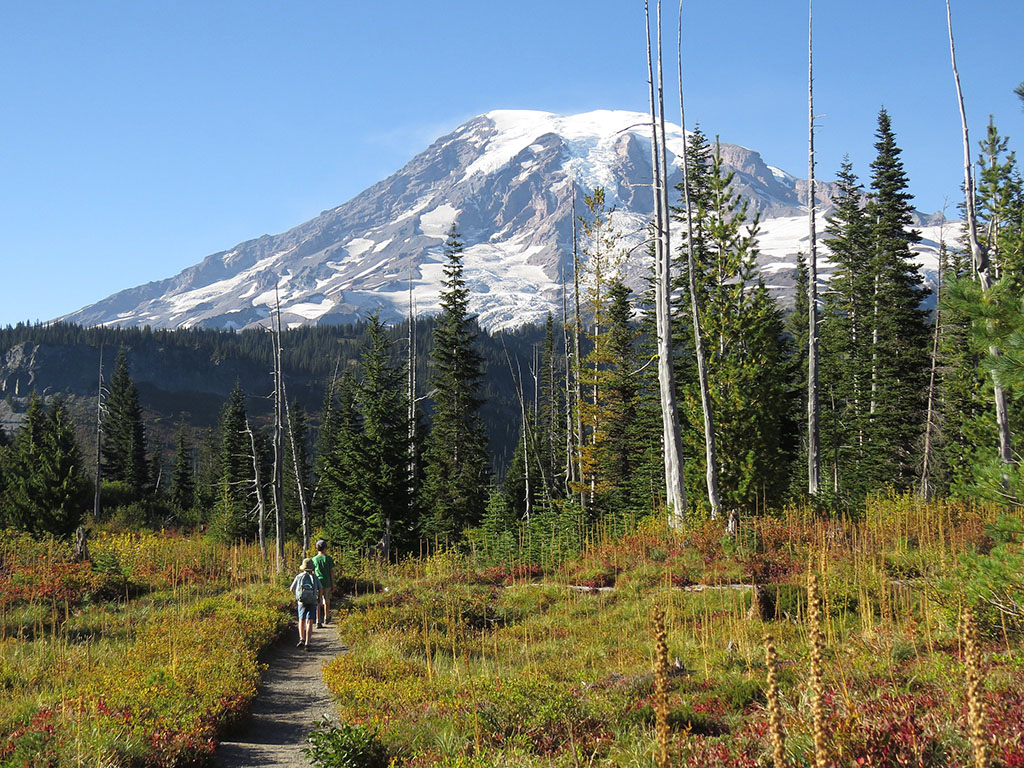 Mount Rainier National Parks asks for input on timed-entry reservations  during summer