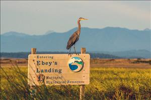 Photograph of a heron standing on a wooden sign that says "Entering Ebey's Landing National Historical Reserve," prairie land behind leading and outline of Olympic Mountains in background