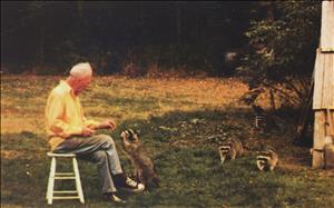 A white man sits on a stool on the grass feeding a group of raccoons
