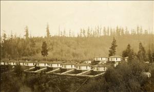 A row of identical wooden houses in the woods