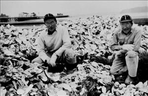 Two Asian men in hats and glasses kneel in a mound of oyster shells