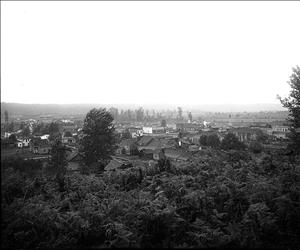Black and white, distant slightly elevated glass plate negative image of Kent, King County, WA, taken from an area of dense low vegetation, including ferns, 
