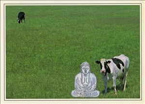 Photograph of a pasture with two cows and a simple drawing of a sitting buddhist figure