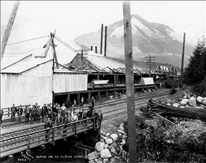  Large group of men in work clothes standing on railroad tracks outside of a long lumber mill in front of a snowy mountain with text at the bottom of the image reading "Alpine Lumber Company, Alpine, Washington"