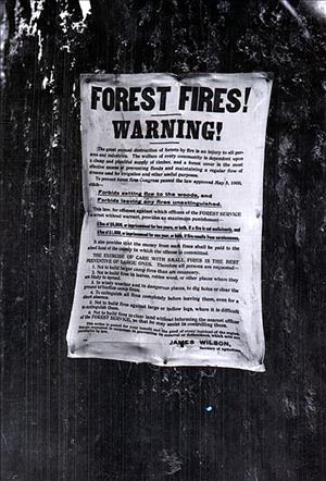 Sign nailed into a tree reading "Forest Fires! Warning! with a detailed list of instructions for safely tending small fires