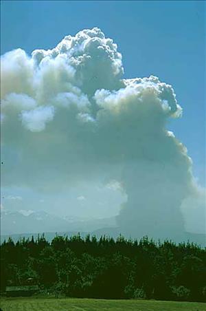 Large plume of smoke rising from forested land