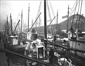 Crowded group of ships loaded with cargo in front of "Schwabacher's Wharf"