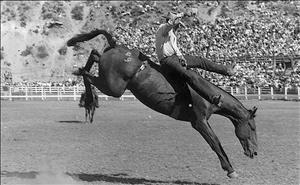 Rider balancing on a bucking horse with the number 49 on its haunches