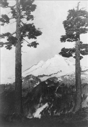View of a snow covered mountain in the distance between two tall, mostly bare trees