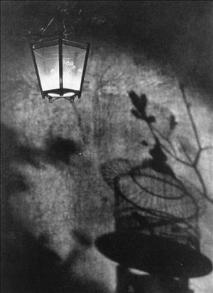 A shadow of a birdcage is projected against a stone wall beside an illuminated lantern